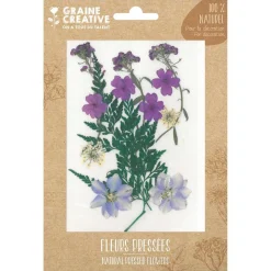 13 fleurs pressées - prairie violette