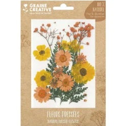 18 fleurs pressées - prairie jaune