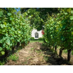 À la découverte de nos vignobles - Coffret Cadeau Gastronomie