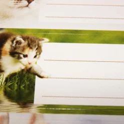 12 étiquettes adhésives scolaires - Rectangle - Photos Chatons