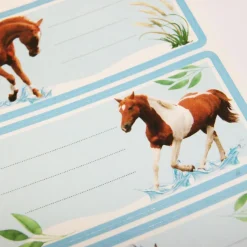 12 étiquettes adhésives scolaires - Rectangle - Photos de chevaux
