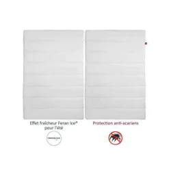 ABEIL Couette 4 Saisons ANTI-ACARIENS 220x240cm