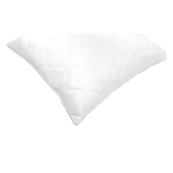 ABEIL Lot de 2 Oreillers a memoire de forme matelasses 60x60 cm blanc