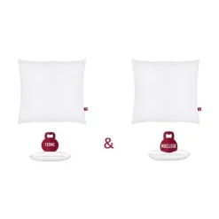 ABEIL Lot de 2 Oreillers DOUBLE CONFORT 100% Coton 60x60cm