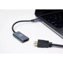 Adaptateur HDMI type C vers port HDMI Femelle