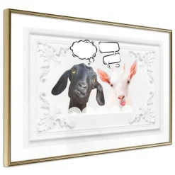 Affiche Murale Encadrée Conversation of Two Goats