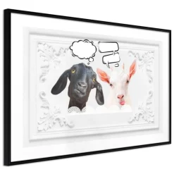 Affiche Murale Encadrée Conversation of Two Goats