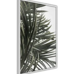 Affiche Murale Encadrée Little Tropics