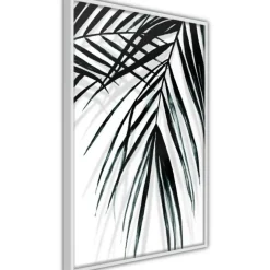 Affiche Murale Encadrée Leaf and Its Shadow