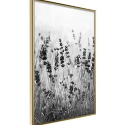 Affiche Murale Encadrée Shadow of Meadow