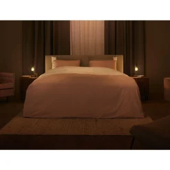 Ampoule LED connectée HUE White Ambiance E27 7W Filament