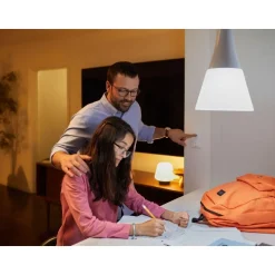 Ampoule LED connectée HUE White E27 75W