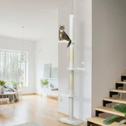 Arbre à chat réglable en hauteur 225-255 cm - tour pour chat 3 griffoirs nuages, 2 balles - blanc