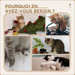 Arbre à chat style cosy naturel réglable H. 225-255 cm - niche, 2 rampes, plateforme, hamac - douce peluche courte beige