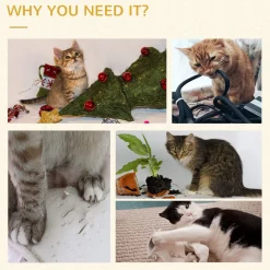 Arbre à chats style cosy chic griffoirs sisal naturel grande niche plateforme échelle jeu boules tourniquet peluche courte cordes d'algues tressées