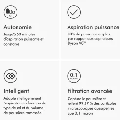 Aspirateur balai V12 Origin