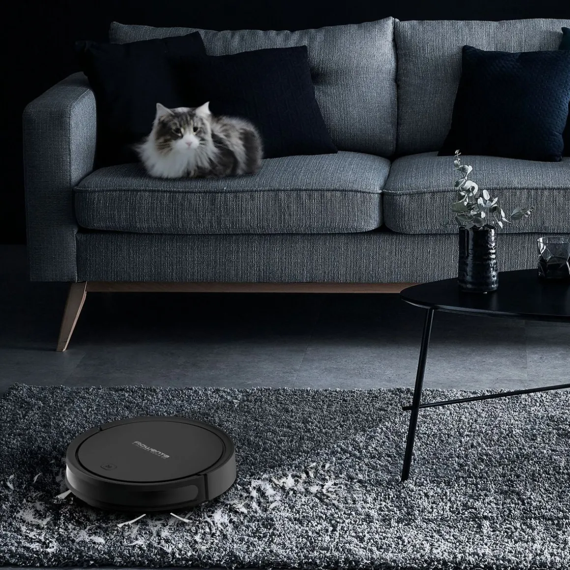 Aspirateur robot X-Plorer Serie 50 RR7375WH - Noir