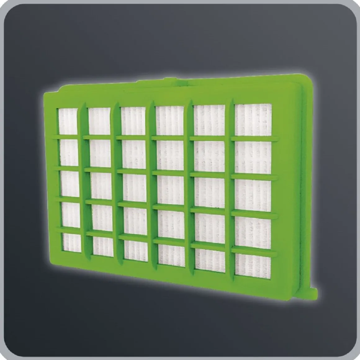 Aspirateur traîneau avec sac RO2611EA - Noir