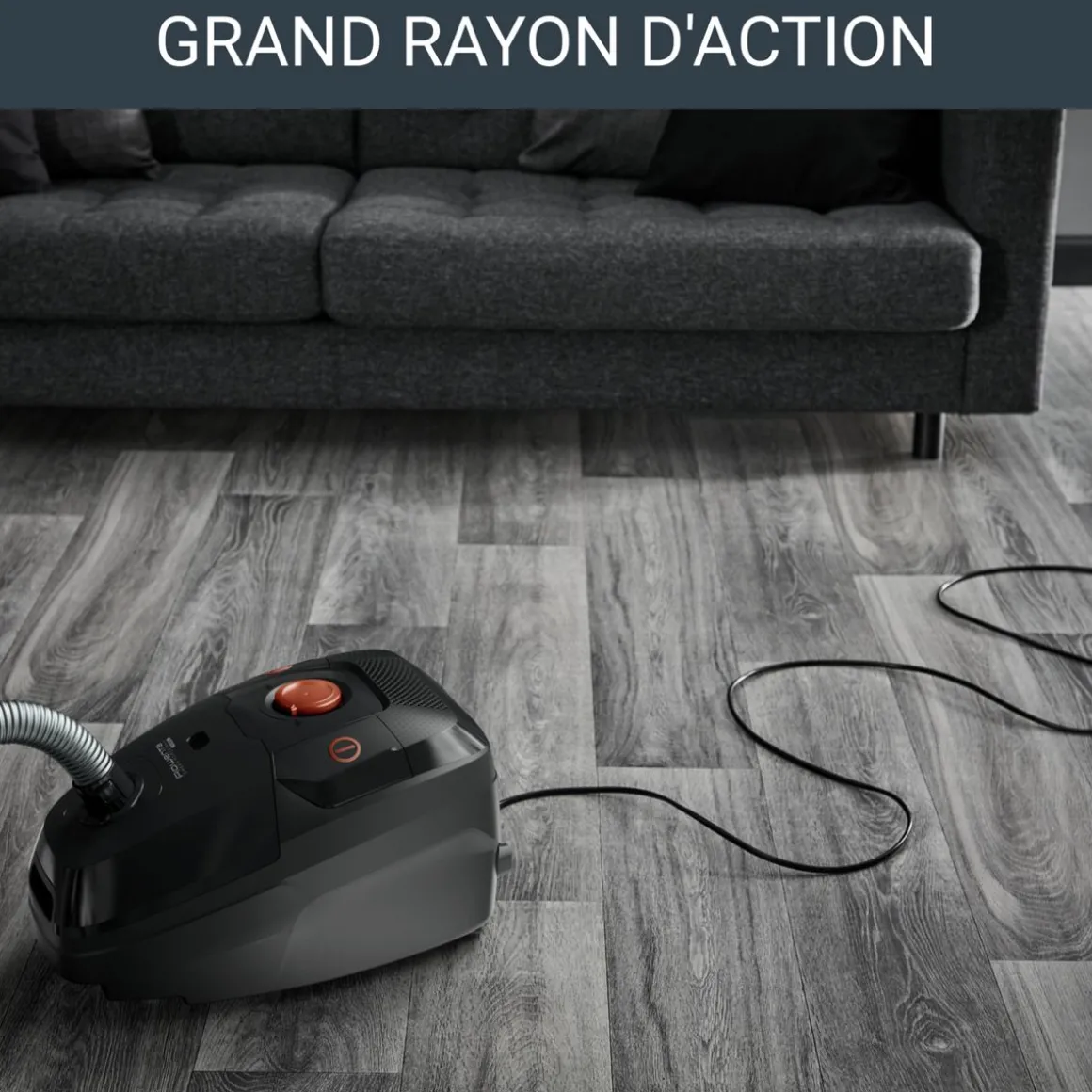 Aspirateur traîneau avec sac RO6164EA - Gris