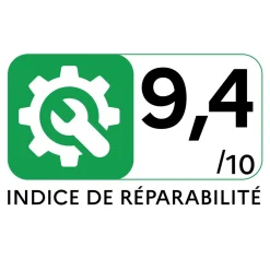 Aspirateur traîneau sans sac BGS21POW2 - Noir