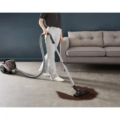 Aspirateur traîneau sans sac RO4B30EA - Gris fumé