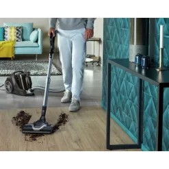 Aspirateur traîneau sans sac Silence Force Cyclonic RO7260 - Gris