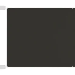 Auvent vertical Anthracite 100x1000 cm Tissu oxford
