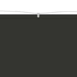 Auvent vertical Anthracite 100x1000 cm Tissu oxford