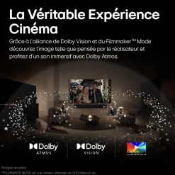 65B46 2024 TV OLED 4K Ultra HD 165 cm Smart TV