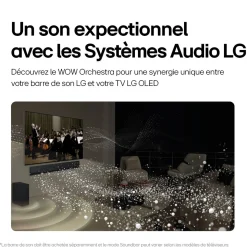 65B46 2024 TV OLED 4K Ultra HD 165 cm Smart TV