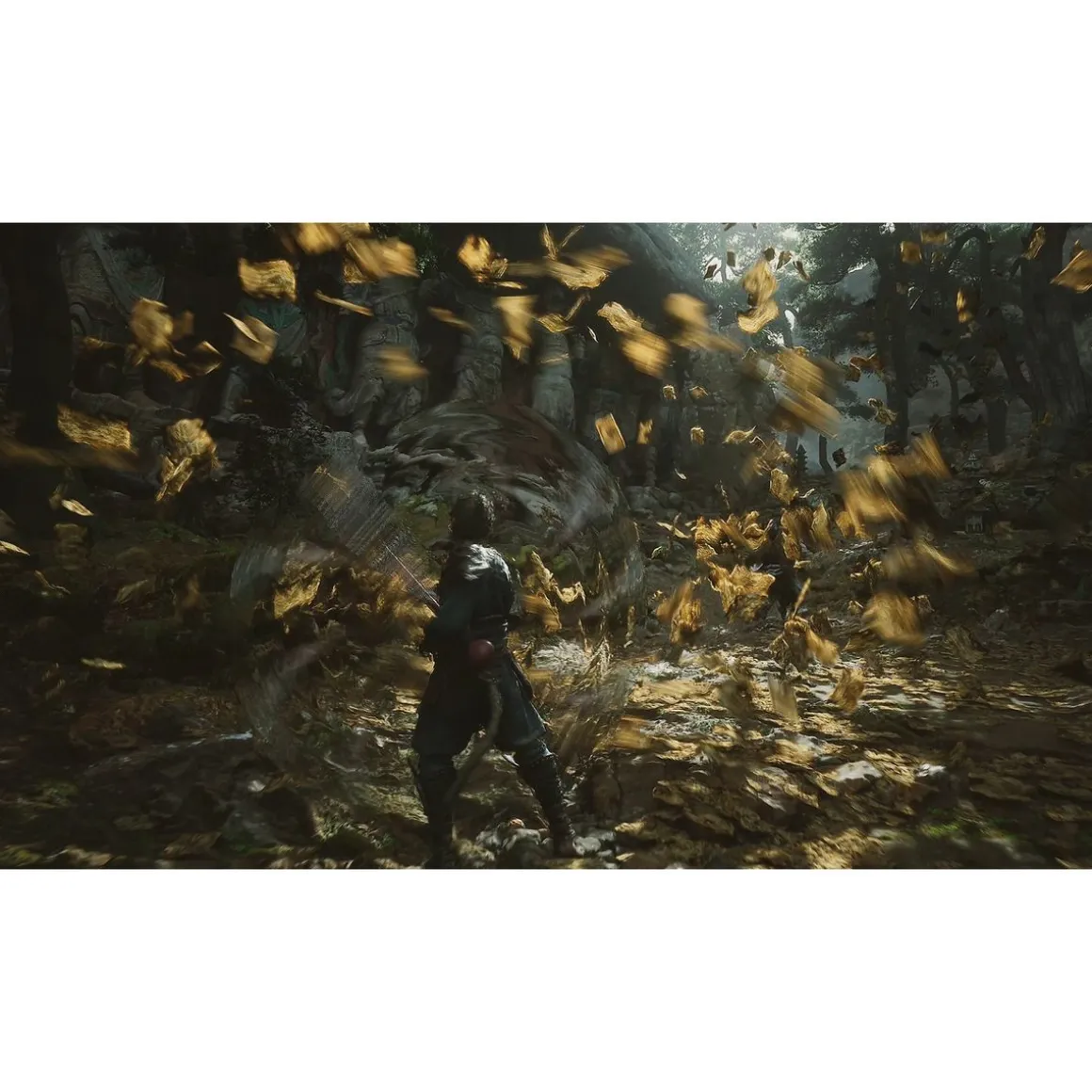 Black Myth : Wukong PS5