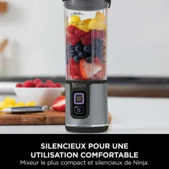 Blender sans fil BC151EUBK - Gris