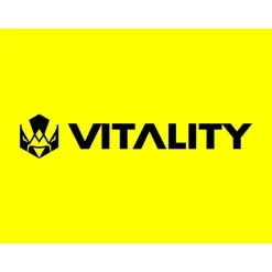 Bon cadeau de 59,90 € sur l'e-shop de la Team Vitality et de 20 € sur Valorant - Coffret Cadeau Multi-thèmes