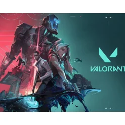 Bon cadeau de 59,90 € sur l'e-shop de la Team Vitality et de 20 € sur Valorant - Coffret Cadeau Multi-thèmes