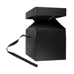 Boîte Cadeau Pliable Festif 20cm Noir