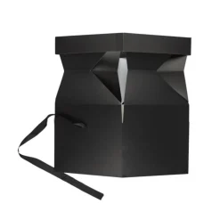 Boîte Cadeau Pliable Festif 20cm Noir
