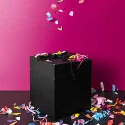 Boîte Cadeau Pliable Festif 20cm Noir