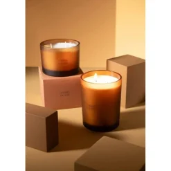 Bougie Parfumée Accords Essentiels 14cm Ambre Intime