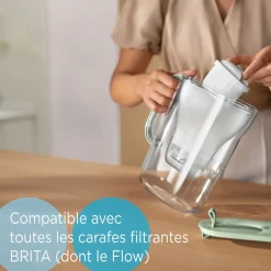 BRITA Pack de 2 cartouches filtrantes MAXTRA PRO All-in-1
