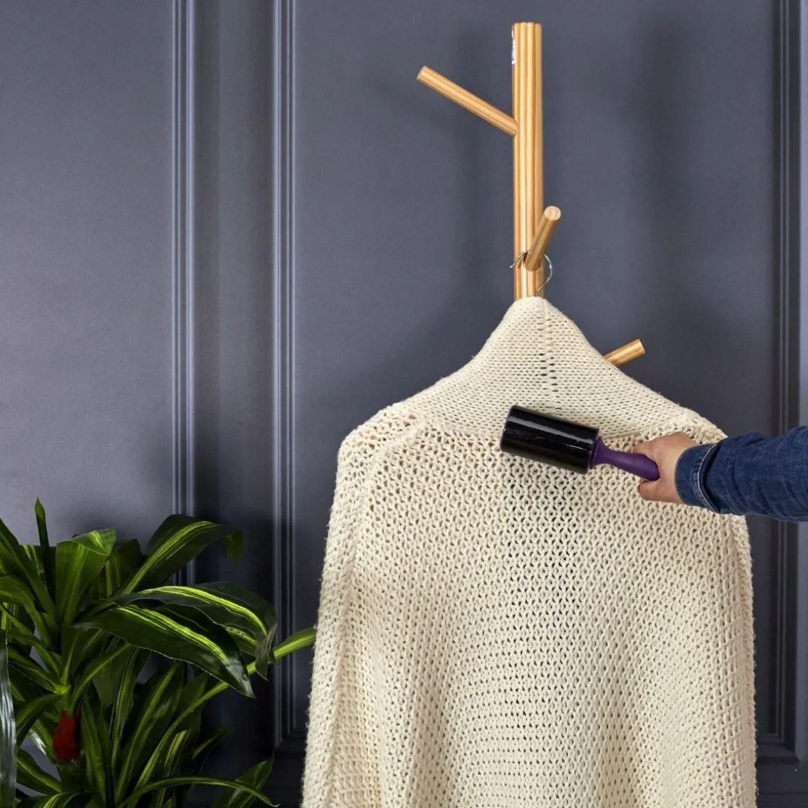 Brosse Anti-poils adhesive et lavable