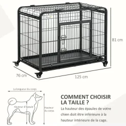 Cage pour chien pliable cage de transport sur roulettes 2 portes verrouillables plateau amovible dim. 125L x 76l x 81H cm métal gris noir