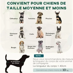 Canapé pour chien design - coussin déhoussable - dim. 74L x 41l x 32,5H cm - velours gris