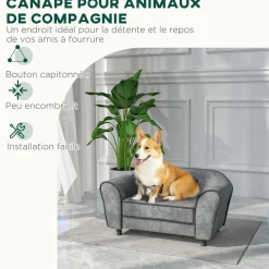 Canapé pour chien design - coussin déhoussable - dim. 74L x 41l x 32,5H cm - velours gris