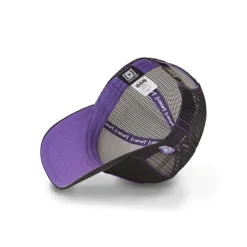 Casquette trucker avec filet DC Comics Joker