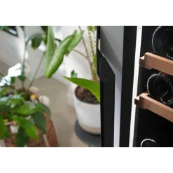 Cave à vin vieillissement GMSS1TGDBKSCE01