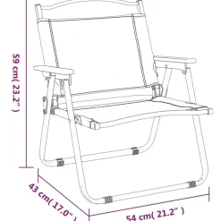 Chaises de camping lot de 2 Noir 54x43x59 cm Tissu Oxford