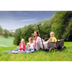 Chariot de transport Eco Mobil