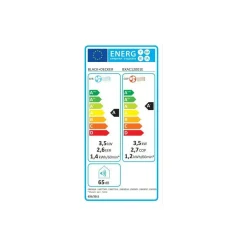 Clim réversible BXAC12001E