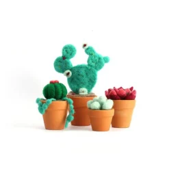 Coffret en laine cardée - Petits cactus