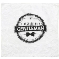 Coffret Entretien Barbe 3 Accessoires 10cm Noir